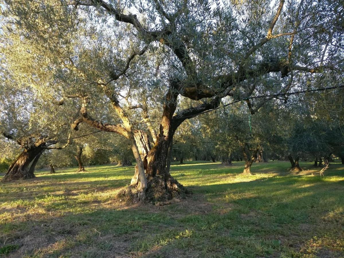 Agriturismo La Villetta San Lorenzo Nuovo Exterior foto