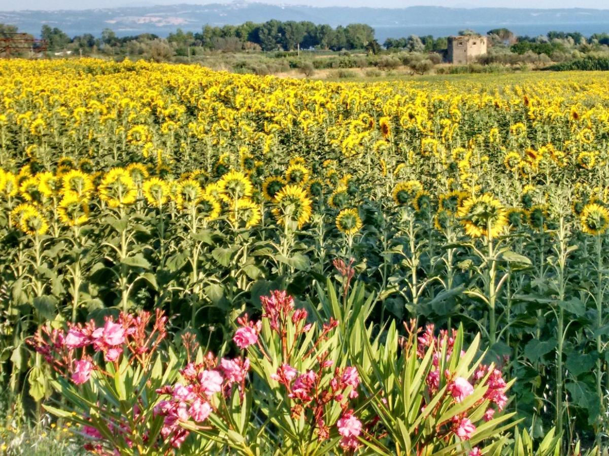 Agriturismo La Villetta San Lorenzo Nuovo Exterior foto