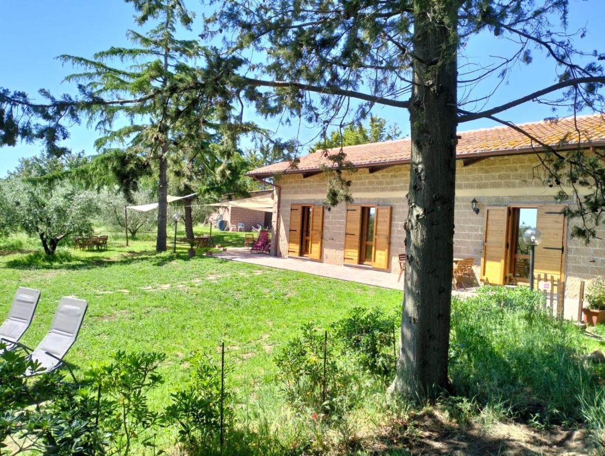Agriturismo La Villetta San Lorenzo Nuovo Exterior foto