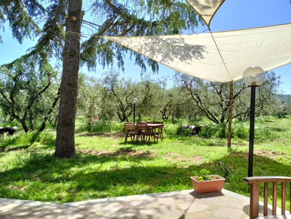 Agriturismo La Villetta San Lorenzo Nuovo Exterior foto